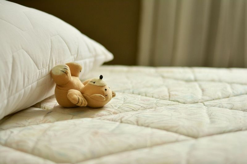 【ダイエットと睡眠の関係】睡眠不足が太る原因に！質の良い睡眠で痩せやすい体を作る…
